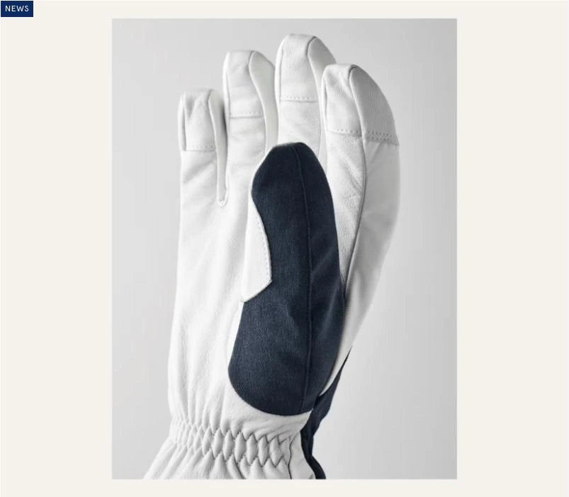 HESTRA Hestra Powder Short Glove  Snowfit