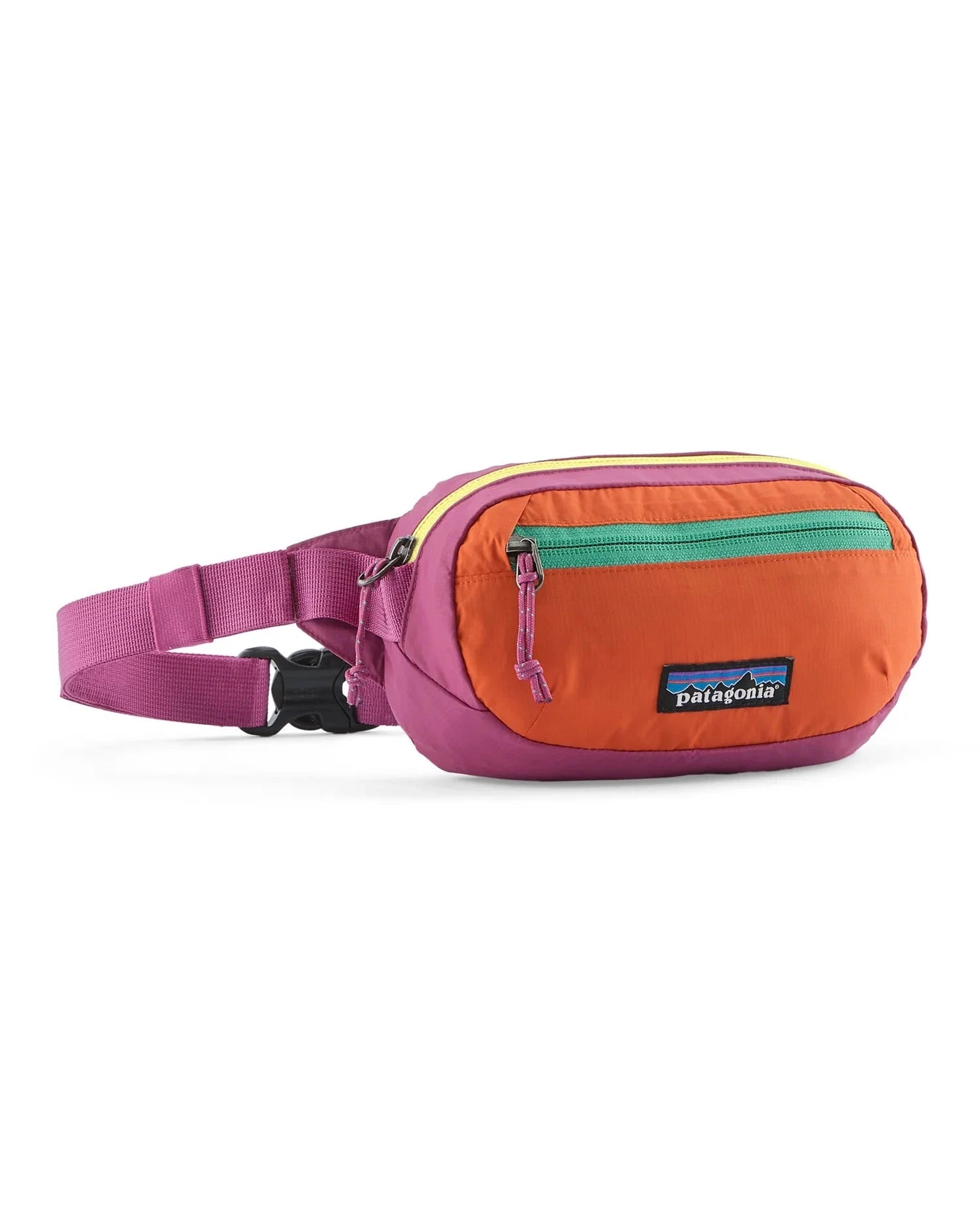 Image of PATAGONIA Patagonia Terravia Mini Hip Pack  Snowfit