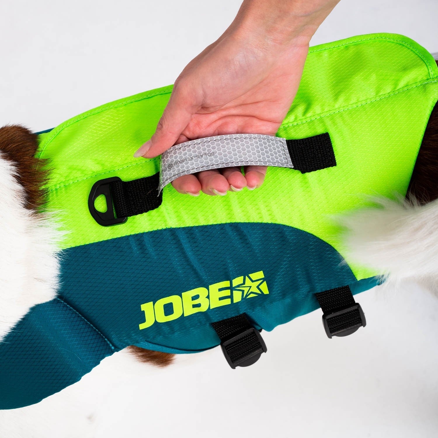 Image of Jobe Pet Vest Lime/Teal JOBE